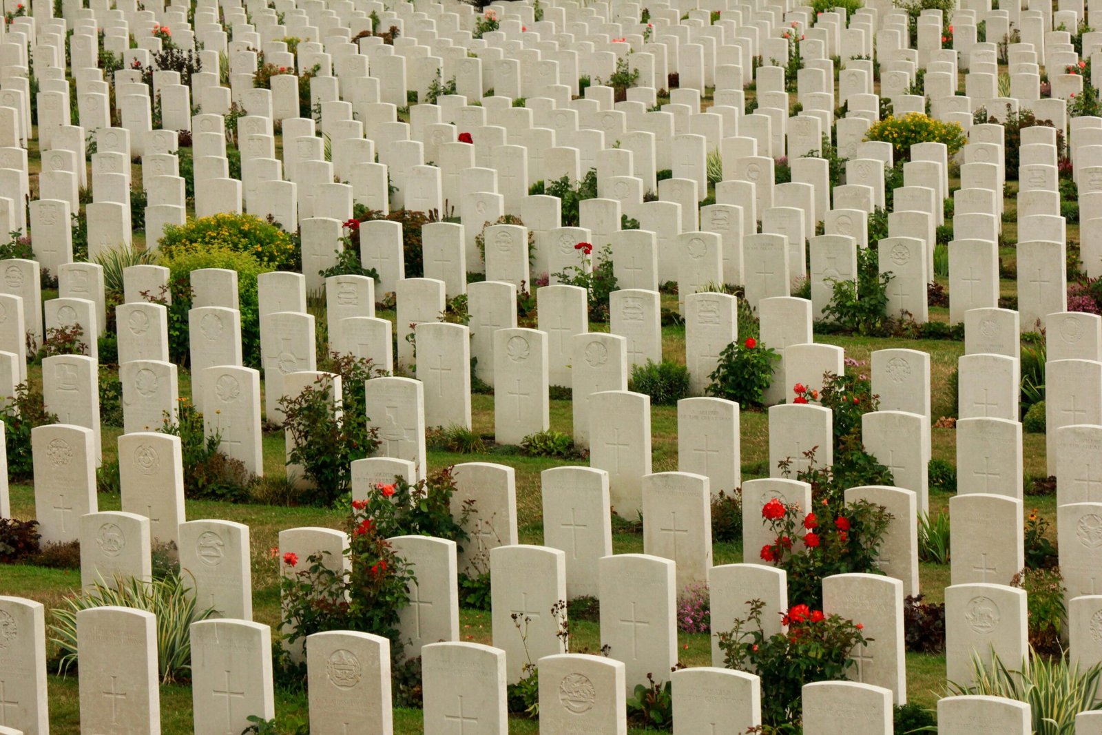An expansive view of a military cemetery with uniform tombstones and blooming flowers.